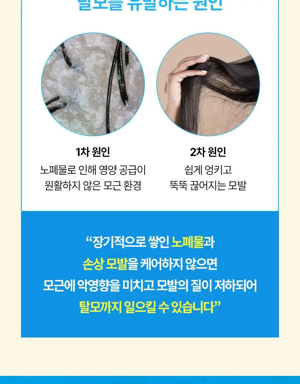 [두피강화] 헤드스파7 비오틴 어드밴스드 트리트먼트 샴푸 740g (탈모증상완화) 상세페이지 5
